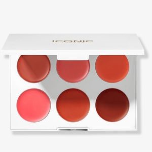 🎉 HOST PICK! NEW Iconic London Multi Use Lip & Cheek Palette🎉🎉